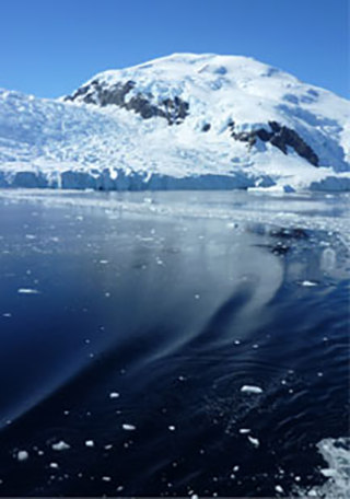 南極 クルーズエリア 寄港地 クルーズ 郵船トラベル株式会社